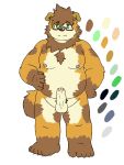  2019 absurd_res anthro balls belly brown_body brown_fur canid canine canis domestic_dog erection eyewear fur genitals glasses green_eyes hi_res humanoid_hands humanoid_penis kemono male mammal moobs nipples penis reddo12340 slightly_chubby solo 