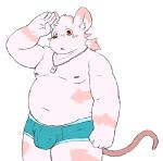  2019 absurd_res anthro blush bulge clothing fur hi_res humanoid_hands kemono male mammal moobs mouse murid murine nipples overweight overweight_male pink_body pink_fur reddo12340 rodent simple_background solo underwear white_background 