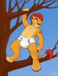  2020 anthro branch claws clothed clothing cub diaper disney eye_scar felid fur hi_res iztli kion lion looking_aside male mammal navel on_branch outside pantherine paws scar smile solo standing tail_tuft the_lion_guard the_lion_king tree tuft yellow_body yellow_fur yellow_sclera young 
