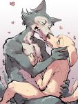  anal anal_penetration anthro anthro_on_anthro anthro_penetrated anthro_penetrating beastars bird_dog bodily_fluids canid canine canis domestic_dog duo hi_res hunting_dog jack_(beastars) kissing labrador legoshi_(beastars) male male/male male_penetrated male_penetrating mammal nude penetration retriever sex shirako sweat tailwag tongue wolf 