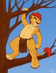  2020 anthro branch claws clothed clothing cub disney eye_scar felid fur hi_res iztli kion lion looking_aside male mammal navel on_branch outside pantherine paws scar smile solo standing tail_tuft the_lion_guard the_lion_king tree tuft yellow_body yellow_fur yellow_sclera young 