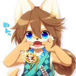  1:1 anthro asian_clothing blue_eyes brown_hair canid canine canis clothing cub domestic_dog east_asian_clothing hair hi_res japanese_clothing jewelry kasasagi kemono looking_at_viewer male mammal melee_weapon necklace open_mouth ponytail spread_mouth sword teeth tongue uvula weapon young 