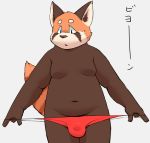  2016 ailurid anthro belly bulge clothing humanoid_hands japanese_text kemono male mammal moobs navel red_panda silicon_chub simple_background slightly_chubby solo text underwear 