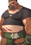  2020 anthro belly blush brown_body brown_fur canid canine canis clothing domestic_dog fur humanoid_hands kemono male mammal nullraihigi overweight overweight_male scar shirt simple_background solo sumo tokyo_afterschool_summoners topwear video_games yasuyori 