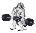  attahualpa bottomwear bulge canid canine canis clothing exercise fur grey_body grey_fur grimnir male mammal muscular nipples piercing shorts solo weightlifting wolf workout 