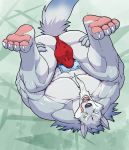  5_fingers abs absurd_res anthro asian_clothing biceps biped bulge canid canine canis clothing east_asian_clothing fingers fundoshi fur grey_body grey_fur hi_res japanese_clothing law_(sdorica_sunset) male mammal multicolored_body multicolored_fur muscular muscular_male pawpads pecs redwolfalang sdorica sdorica_sunset solo two_tone_body two_tone_fur underwear wolf yellow_eyes 