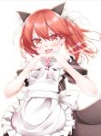  1girl :d alternate_costume animal_ear_fluff animal_ears apron bangs black_dress blush bow brown_eyes brown_hair cat_ears commentary_request dress enmaided eyebrows_visible_through_hair fang frilled_apron frills grey_bow hair_between_eyes hands_up heart heart_hands kantai_collection kemonomimi_mode kirigakure_(kirigakure_tantei_jimusho) magatama maid maid_apron open_mouth puffy_short_sleeves puffy_sleeves ryuujou_(kantai_collection) short_sleeves simple_background smile solo twintails white_apron white_background 