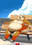  2019 absurd_res anthro belly burrnie canid canine canis clothing detailed_background domestic_dog eyewear hi_res humanoid_hands male mammal moobs navel outside overweight overweight_male sitting solo speedo sunglasses swimwear 