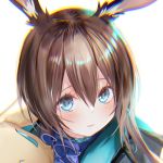  1girl amiya_(arknights) animal_ears arknights ascot bangs blue_eyes blue_jacket blue_neckwear blush brown_hair bunny_ears close-up commentary_request frilled_ascot frills head_tilt holding holding_stuffed_animal jacket long_hair multicolored multicolored_eyes pottsness simple_background smile solo stuffed_animal stuffed_bunny stuffed_toy white_background 