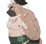  2020 anthro belly black_nose brown_body brown_fur canid canine canis cddi_h cute_fangs domestic_dog fur kemono male mammal moobs nipples overweight overweight_male scar simple_background solo sumo tokyo_afterschool_summoners video_games white_background yasuyori 