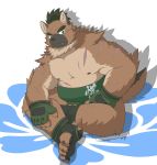  2020 absurd_res anthro belly brown_body brown_fur canid canine canis cute_fangs domestic_dog fur green_eyes hi_res humanoid_hands kemono male mammal moobs nipples overweight overweight_male qweszxc612xu30 scar sitting solo sumo tokyo_afterschool_summoners video_games yasuyori 