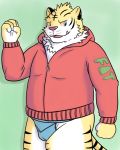  2016 agiran anthro asian_clothing clothing east_asian_clothing felid fundoshi hoodie humanoid_hands japanese_clothing kemono male mammal pantherine simple_background slightly_chubby solo tiger topwear underwear 