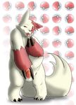  pokemon tagme zangoose 