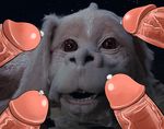  falkor tagme the_neverending_story 