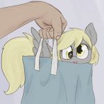  1:1 2020 5_fingers bag derpy_hooves_(mlp) disembodied_hand duo equid equine eyelashes feral fingers friendship_is_magic hi_res looking_at_viewer mammal my_little_pony pterippus simple_background smile solo_focus t72b wings 