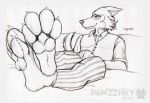  absurd_res hi_res legoshi paws pawzzhky 