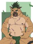  2020 anthro belly brown_body brown_fur canid canine canis clothing cute_fangs djako_hyena domestic_dog fur genitals hi_res humanoid_hands humanoid_penis male mammal moobs navel nipples one_eye_closed penis scar slightly_chubby solo tokyo_afterschool_summoners underwear video_games wink yasuyori 