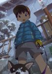  1boy :o animal bag baseball_cap blue_jacket breath brown_hair child commentary_request dog down_jacket from_below gloves hat holding holding_bag jacket leash long_sleeves male_focus noeyebrow_(mauve) open_mouth original outdoors shiba_inu shorts snow snowing winter 