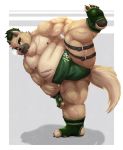  2020 absurd_res anthro aotoaka belly blush brown_body brown_fur butt canid canine canis domestic_dog fur hi_res humanoid_hands kemono male mammal moobs nipples overweight overweight_male scar solo sumo tokyo_afterschool_summoners video_games yasuyori 
