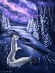  ambiguous_gender black_nose detailed_background domestic_ferret feral flashw forest green_eyes mammal mustela mustelid musteline night outside sky snow solo star starry_sky tree 