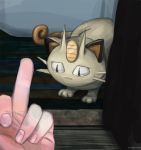  black_eyes cat cat_focus creature frown gen_1_pokemon hands mcgmark meowth middle_finger photo-referenced pokemon pokemon_(creature) sad tears watermark web_address 