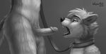  2018 anthro anthro_on_anthro athletic balls black_lips canid canine canis cheek_tuft collar digital_media_(artwork) domestic_dog duo ear_tuft erection faceless_male facial_tuft fur genitals greyscale half-closed_eyes humanoid_penis interspecies leash lips male male/male mammal monochrome mutt_(character) narrowed_eyes nude open_mouth penis sex simple_background standing tongue tuft vein wagnermutt whiskers 