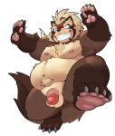  2020 anthro armpit_hair balls belly blush body_hair brown_body brown_fur canid canine flaccid fur genitals goemon_(tas) humanoid_hands humanoid_penis hupi1008 kemono male mammal moobs navel nipples one_eye_closed overweight overweight_male penis raccoon_dog simple_background solo tanuki tokyo_afterschool_summoners video_games white_background wink 