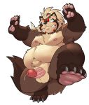  2020 anthro armpit_hair balls belly body_hair brown_body brown_fur canid canine erection fur genitals goemon_(tas) humanoid_hands humanoid_penis hupi1008 kemono male mammal moobs navel nipples overweight overweight_male penis raccoon_dog simple_background solo tanuki tokyo_afterschool_summoners video_games white_background 