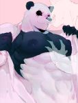  2020 abs anthro beastars big_nipples black_and_white_fur clothed clothing dokiizz duo facial_scar giant_panda gouhin humanoid_hands male male/male mammal muscular muscular_male nipples open_shirt pecs scar shirt topwear ursid 