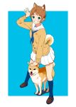  1girl :d animal_ears aqua_eyes blue_background blue_eyes blue_legwear blue_neckwear blush brown_footwear brown_hair brown_sweater dog dog_ears dog_girl dog_tail eyebrows_visible_through_hair grin hand_up hi_iro highres legs_apart loafers looking_at_viewer open_mouth original outside_border petting pleated_skirt sailor_collar school_uniform serafuku shiba_inu shoes short_hair simple_background skirt smile socks solo standing sweater tail waving white_sailor_collar white_skirt 