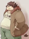  anthro belly blush brown_hair chubby_cheeks clothed clothing felid fur hair hand_in_pocket hi_res hoodie lion male mammal moobs overweight overweight_male pantherine pockets pomupomu490 solo standing tail_tuft tan_body tan_fur topwear tuft 