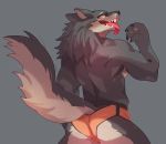  achakura anthro canid canine canis clothing looking_at_viewer male mammal muscular muscular_male solo tongue tongue_out underwear wolf 