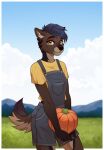  anthro blue_hair bottomwear brown_body brown_fur canid canine canis clothing denim denim_clothing female field fluffy food forest forest_background fruit fur grass hair hi_res jeans kotybird mammal mountain nature nature_background overalls pants plant pumpkin shirt sky smile solo t-shirt topwear tree vegetable wolf 