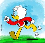  anatid anseriform avian bird clothing duck joaoppereiraus male running shirt solo topwear young 