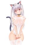  animal_ears bottomless breast_hold harajuku_mimi nekomimi no_bra re:shimashima see_through tail thighhighs tokyo_exe_girls wet wet_clothes 