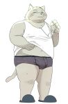  2020 absurd_res anthro belly bonedra bulge clothing eyewear felid feline glasses hi_res humanoid_hands male mammal overweight overweight_male shirt simple_background solo topwear underwear white_background 