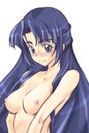  asakura_ryouko blue_eyes blue_hair breasts long_hair medium_breasts nipples phares solo suzumiya_haruhi_no_yuuutsu topless 