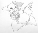  pokemon tagme zangoose 