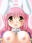  animal_ears artist_request blush breasts bunny_ears cross huge_breasts nipples pink_hair priest priest_(ragnarok_online) ragnarok_online solo 