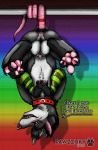 absurd_res anthro anus balls bodily_fluids clinging collar collar_ring genital_fluids genitals girly hi_res lgbt_pride male mammal murid murine pawpads paws pawzzhky pink_nose pink_pawpads precum pride_colors rat red_collar rodent solo 