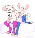  animancer clothing dipodid faleen female hug jerboa leg_warmers legwear luck mammal murid murine rat rodent 