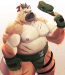  2020 anthro belly canid canine canis clothing domestic_dog hat headgear headwear hi_res kemono male mammal moobs mti777 nipples overweight overweight_male scar simple_background solo sumo tokyo_afterschool_summoners video_games yasuyori 