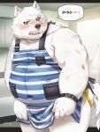 2020 anthro apron belly blush bulge butt canid canine clothing fur hi_res humanoid_hands japanese_text kemono male mammal moobs nikiciy nipples solo text white_body white_fur 