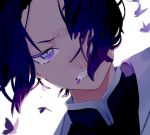 1girl angry black_hair bug butterfly clenched_teeth close-up dutch_angle furrowed_eyebrows glaring insect kimetsu_no_yaiba kochou_shinobu lips looking_at_viewer mana111700 mouth_hold multicolored_hair portrait purple_eyes purple_hair short_hair simple_background solo tears teeth two-tone_hair white_background 