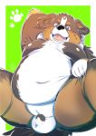  2020 anthro balls belly blush canid canine canis censored domestic_dog genitals hi_res humanoid_hands kemono male mammal moobs navel nipples overweight overweight_male rei_illustrator solo 