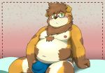  2020 absurd_res anthro belly blush bulge canid canine canis clothing domestic_dog eyewear glasses green_eyes hi_res humanoid_hands jockstrap male mammal moobs navel nipples overweight overweight_male reddo12340 sitting solo underwear 