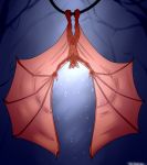  chiropteran danji-isthmus fur hi_res male mammal pteropodid red_body red_fur tagme wings 