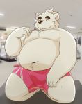  anthro belly bulge clothing erection fur genital_outline humanoid_hands inuryu kemono male mammal moobs navel overweight overweight_male penis_outline polar_bear solo under_clothes underwear ursid ursine white_body white_fur 