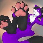  1:1 2016 4_toes anthro black_nose canid canine canis claws digital_media_(artwork) domestic_dog elkhound feet foot_focus fur hair hindpaw inner_ear_fluff lying male mammal multicolored_body multicolored_fur nude on_back pawalo pawpads paws plantigrade simple_background skyler-the-fox smile solo spitz toe_claws toes tuft 