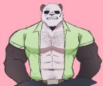  2019 abs anthro beastars belt biceps big_muscles black_body black_fur body_hair bottomwear chest_hair clothed clothing fur giant_panda gouhin hi_res huge_muscles jeans male mammal multicolored_body multicolored_fur muscular muscular_male open_shirt pants pecs pinkbloodtrails scar shirt simple_background snarling solo tight_clothing topwear triceps two_tone_body two_tone_fur ursid white_body white_fur 